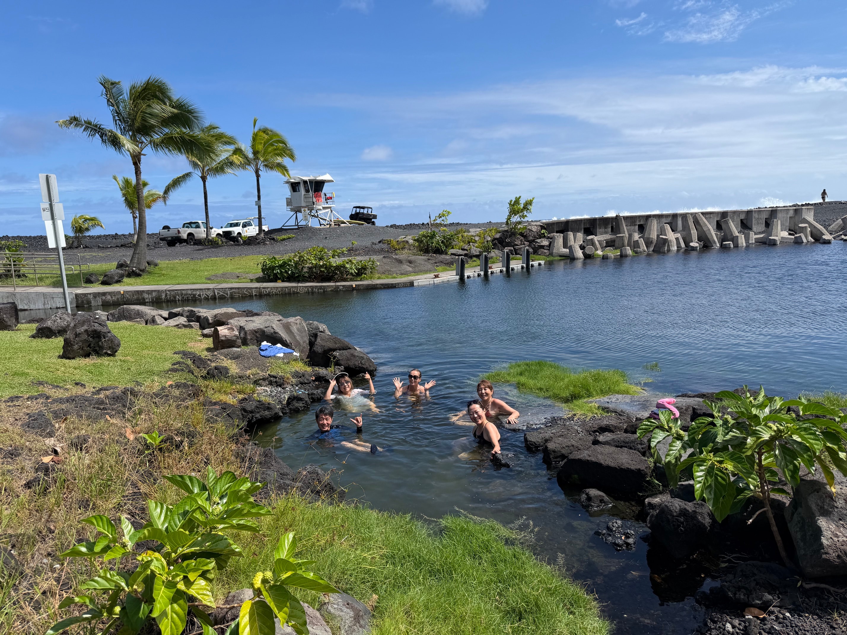 Pohoiki Warm Steam Ponds