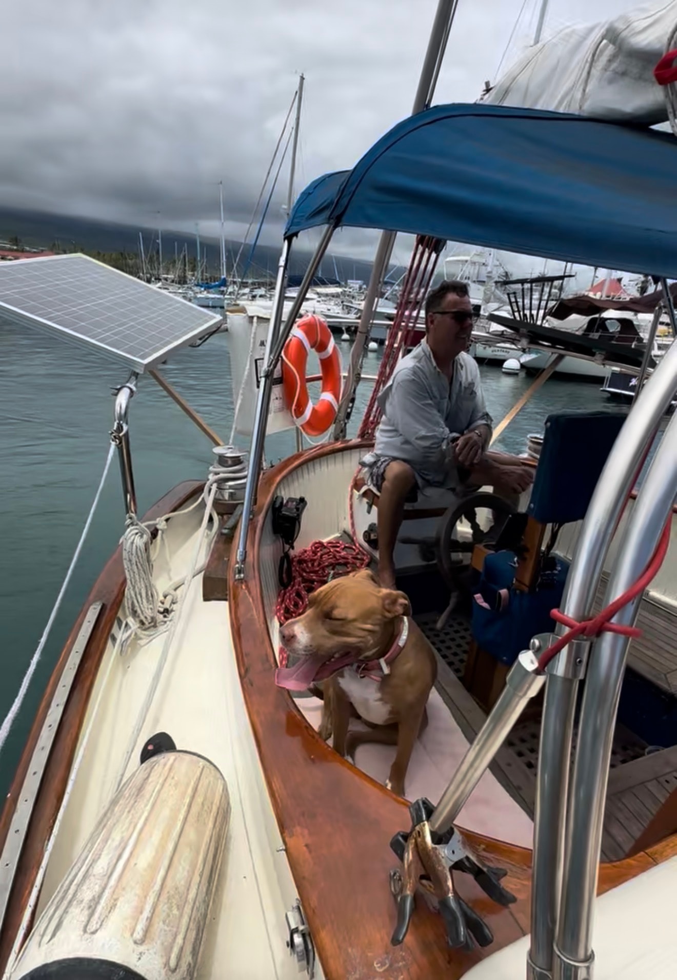 Captain sailing in marina